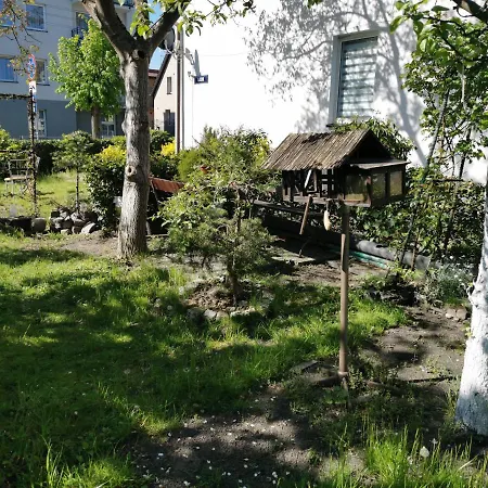 Homestay U Zisi